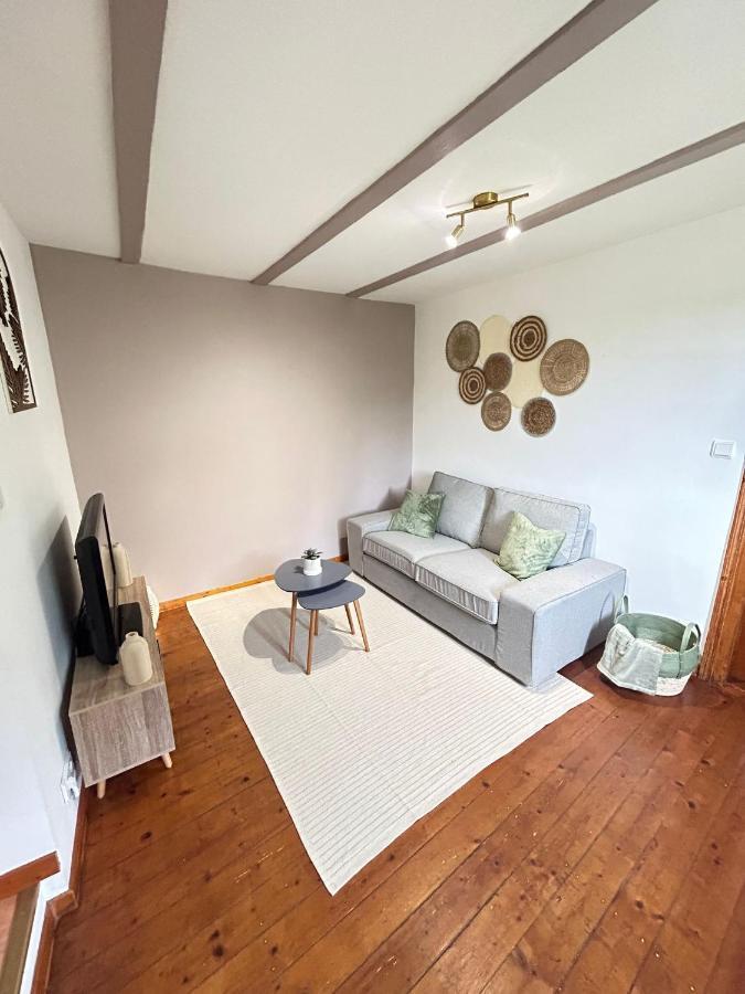 Le Cocon Du Vignoble - Free Wifi - Netflix Apartment Turckheim Bagian luar foto