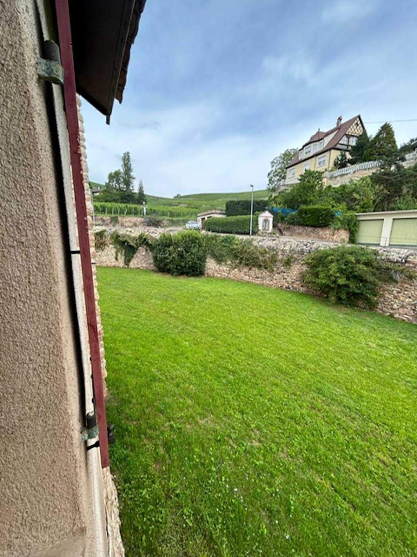 Le Cocon Du Vignoble - Free Wifi - Netflix Apartment Turckheim Bagian luar foto